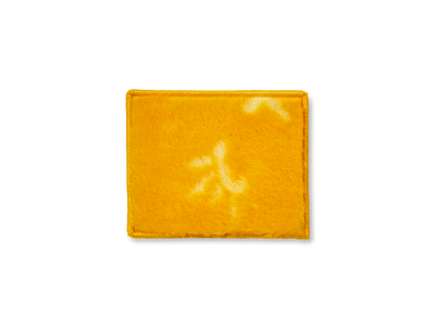 Ministar Polier