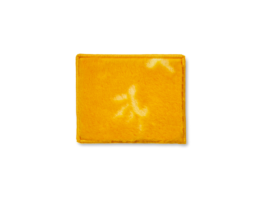 Ministar Polier